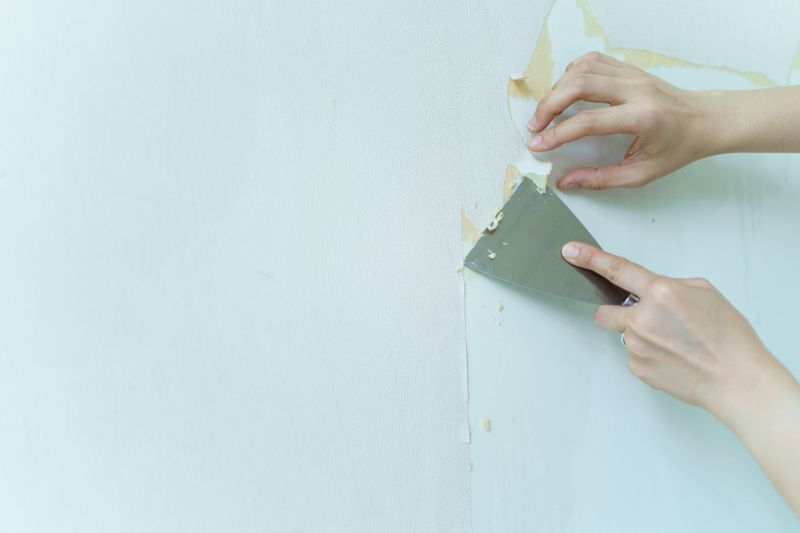 Paint Stripping Service