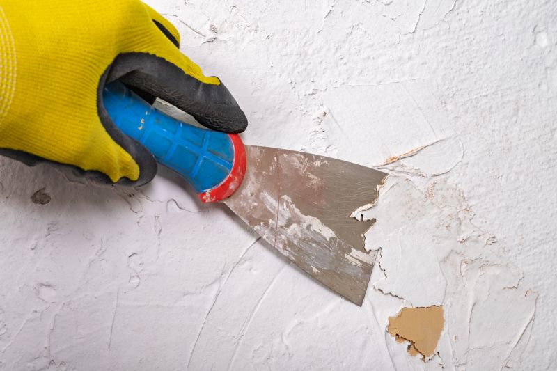 Paint Stripping Service